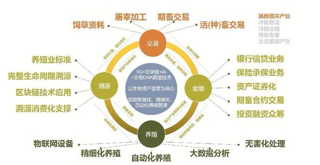 基于區(qū)塊鏈技術的中國農(nóng)畜產(chǎn)品質(zhì)量安全可追溯體系簡析——兼論品牌管理價值
